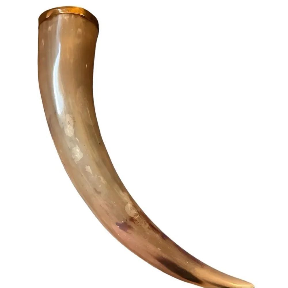 Handcrafted Natural Viking Beer Horn 16"Medieval Drinking Vessel Brass O…